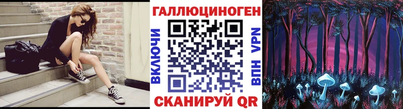 закладки Баймак Псилоцибиновые грибы Psilocybe